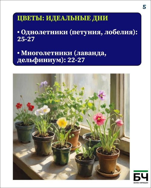 Февральский посевной: старт сезона 2026 (карточки)