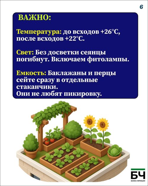 Февральский посевной: старт сезона 2026 (карточки)
