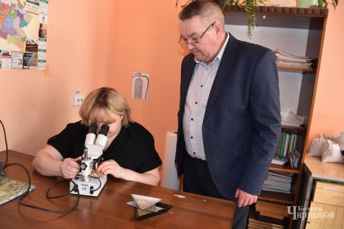 Хозяйства Черемшанского района планируют увеличить площади под подсолнечником