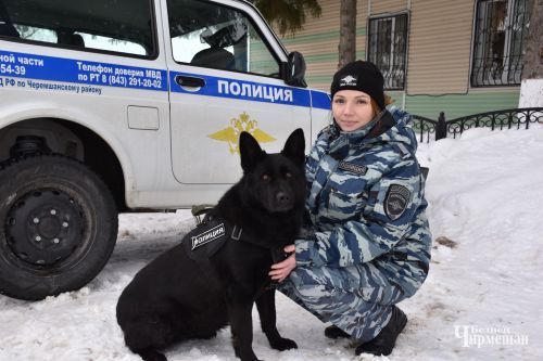 Чирмешәндә хатын-кыз кинолог: җаваплы һәм кыю һөнәр сайлаган Алина Дмитриева