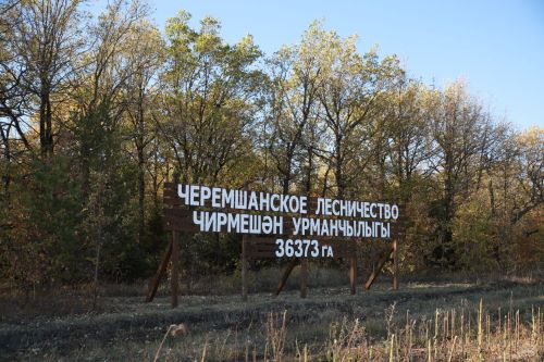 Татарстан урманнарында янгын куркынычы сезоны башлануы турында игълан иттеләр