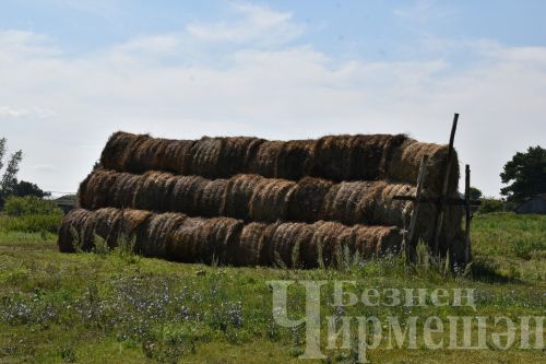 10 июльгә һава торышы