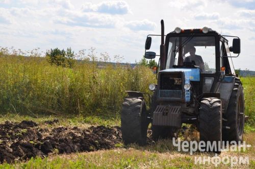 “Сөлчә”дән Илдар Зәйнуллин көненә 6-7 гектар җир сукалый
