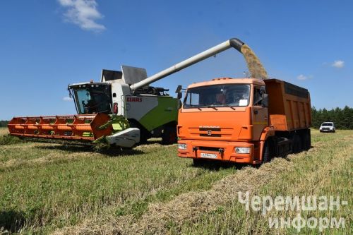 Чирмешән районында урып-җыю белән көзге чәчү бергә бара