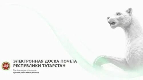 Чирмешән районыннан 76 кеше – Татарстанның электрон мактау тактасында