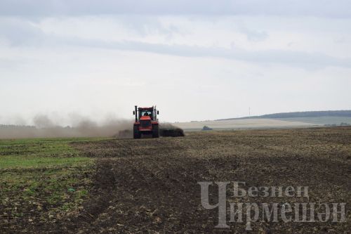 Чирмешән районы хуҗалыкларында кырларның яртысы туңга сөрелгән