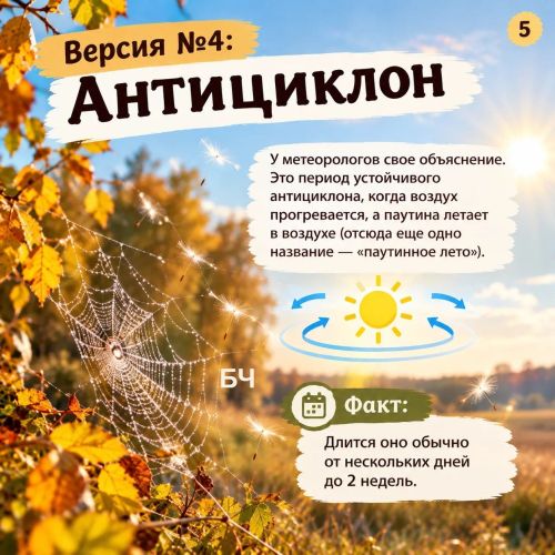 Бабье лето: откуда взялось это название и при чем тут змеи?