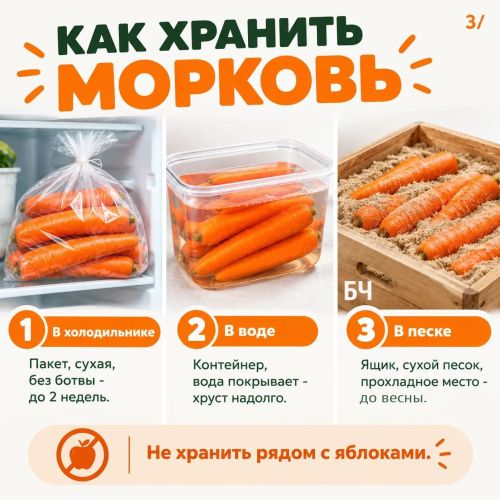 Тёплый оттенок пользы: гид по моркови в удобных карточках