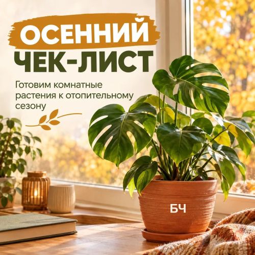 Пришла осень — не за горами запуск отопления