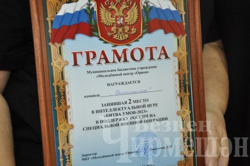 В Черемшане проходит интеллектуальная игра "Битва умов" (ФОТОРЕПОРТАЖ)