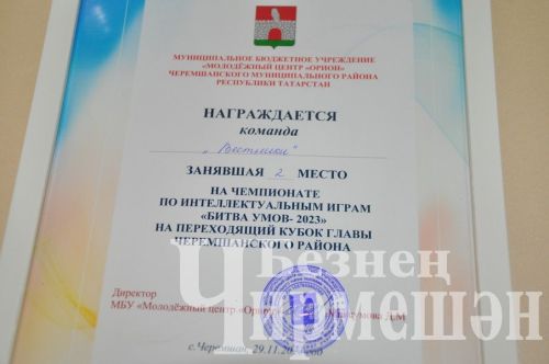 Чирмешәндә узган "Акыл ярышы"нда туймәтлеләр җиңде (ФОТОРЕПОРТАЖ)