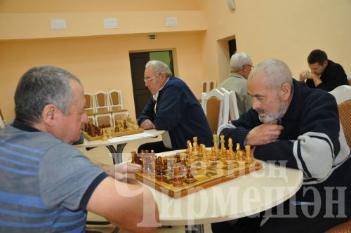 В Черемшане организовали шахматный турнир, посвященный Дню народного единства (ФОТОРЕПОРТАЖ)