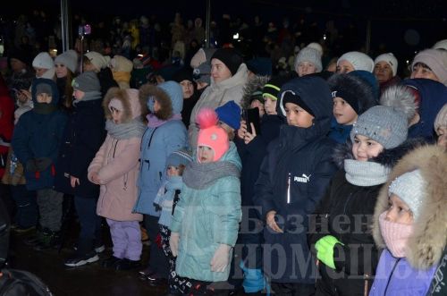 Торжество открытия центральной елки в Черемшане (ФОТОРЕПОРТАЖ)