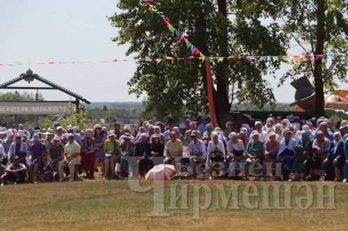 В Амирово уже в десятый раз отметили День села (ФОТОРЕПОРТАЖ)
