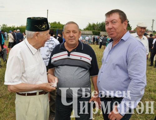 81 фотография с празднования Дня села в Лашманке