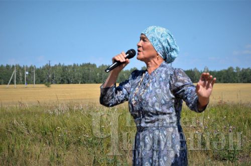 Чирмешәндә агитбригада кырга чыкты (ФОТОРЕПОРТАЖ)