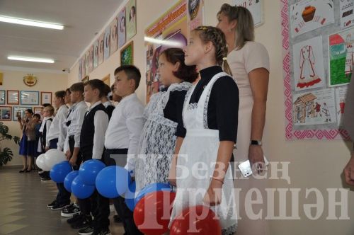 В Новоильмовской школе открылись кабинеты центра "Точка роста" (ФОТОРЕПОРТАЖ)