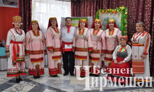 Чирмешәндә «Тарихта без эзлебез» фестиваленең район этабы узды (ФОТОРЕПОРТАЖ)
