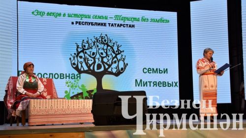 Чирмешәндә «Тарихта без эзлебез» фестиваленең район этабы узды (ФОТОРЕПОРТАЖ)