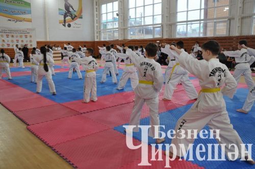 Чирмешәндә яшь тхэквондочылар ярышты (ФОТОРЕПОРТАЖ)