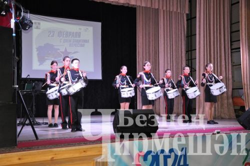 В Черемшане отметили День Защитника Отечества (ФОТОРЕПОРТАЖ)