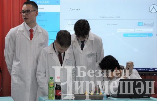 Чирмешәндә узган елга йомгак ясадылар (ФОТОРЕПОРТАЖ)