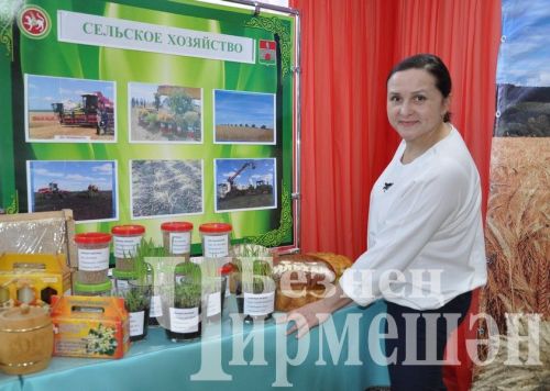 Чирмешәндә узган елга йомгак ясадылар (ФОТОРЕПОРТАЖ)