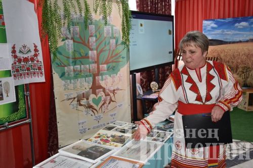 Чирмешәндә “Эхо веков в истории семьи – Тарихта без эзлебез” республика бәйгесенең муниципаль этабы үтте (ФОТОРЕПОРТАЖ)
