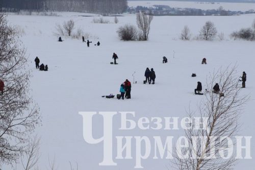 На Новоильмовском пруду соревновались рыбаки (ФОТОРЕПОРТАЖ)