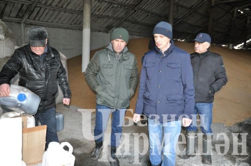 В Черемшан приехал заместитель министра сельского хозяйства и продовольствия РТ Рафаэль Фаттахов (ФОТОРЕПОРТАЖ)