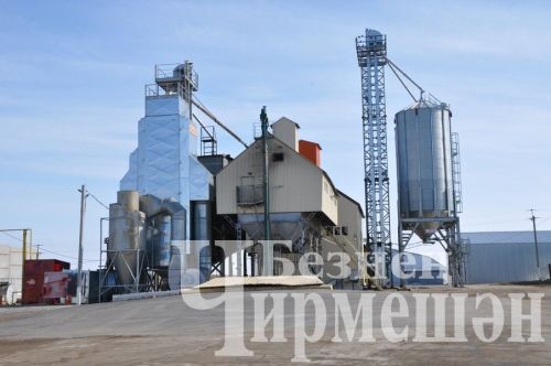 В Черемшан приехал заместитель министра сельского хозяйства и продовольствия РТ Рафаэль Фаттахов (ФОТОРЕПОРТАЖ)