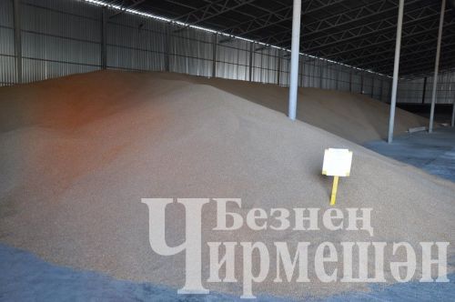 В Черемшан приехал заместитель министра сельского хозяйства и продовольствия РТ Рафаэль Фаттахов (ФОТОРЕПОРТАЖ)