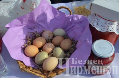 Чирмешәндә район үзәге оешмалары "Игелек ярминкәсе" үткәрде (ФОТОРЕПОРТАЖ)