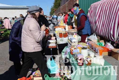 Чирмешән районы мәктәпләре, балалар  бакчалары һәм ата-аналар "Игелек ярминкәсе" үткәрде (ФОТОРЕПОРТАЖ)