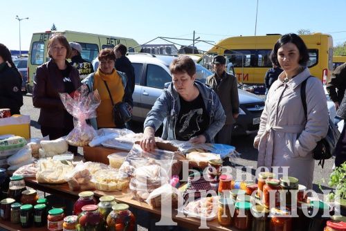 Чирмешән районы мәктәпләре, балалар  бакчалары һәм ата-аналар "Игелек ярминкәсе" үткәрде (ФОТОРЕПОРТАЖ)
