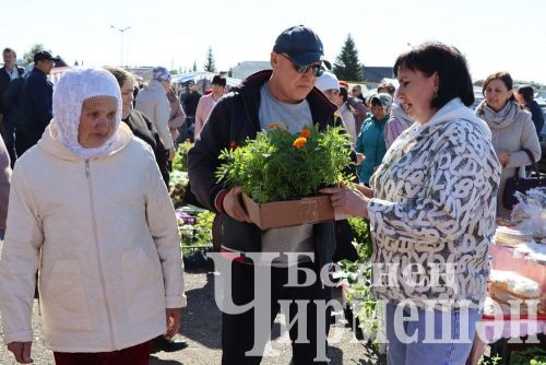 Чирмешән районы мәктәпләре, балалар  бакчалары һәм ата-аналар "Игелек ярминкәсе" үткәрде (ФОТОРЕПОРТАЖ)