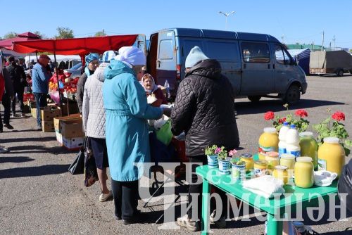 Чирмешән районы мәктәпләре, балалар  бакчалары һәм ата-аналар "Игелек ярминкәсе" үткәрде (ФОТОРЕПОРТАЖ)