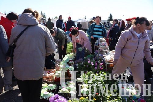 Чирмешән районы мәктәпләре, балалар  бакчалары һәм ата-аналар "Игелек ярминкәсе" үткәрде (ФОТОРЕПОРТАЖ)