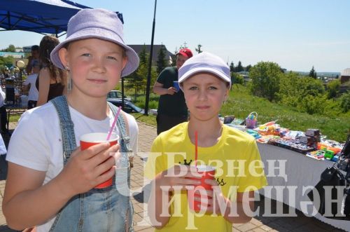 Чирмешәндә Балаларны яклау көне уңаеннан бәйрәм үтте (ФОТОРЕПОРТАЖ)