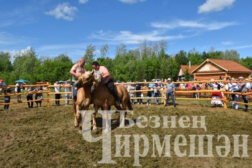 Чирмешән Сабан туе 2024: атлар узышы һәм Аударыш ярышы (ФОТОРЕПОРТАЖ)