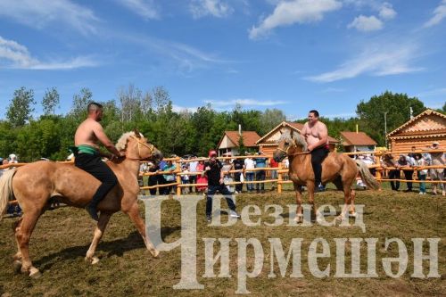 Чирмешән Сабан туе 2024: атлар узышы һәм Аударыш ярышы (ФОТОРЕПОРТАЖ)