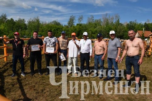 Чирмешән Сабан туе 2024: атлар узышы һәм Аударыш ярышы (ФОТОРЕПОРТАЖ)
