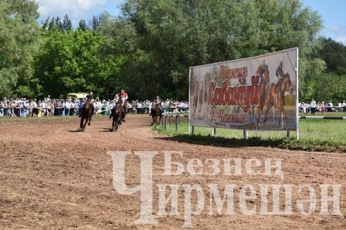 Сабантуй в Черемшане 2024: конные скачки и борьба на лошадях "Аударыш" (ФОТОРЕПОРТАЖ)