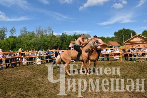 Чирмешән Сабан туе 2024: атлар узышы һәм Аударыш ярышы (ФОТОРЕПОРТАЖ)