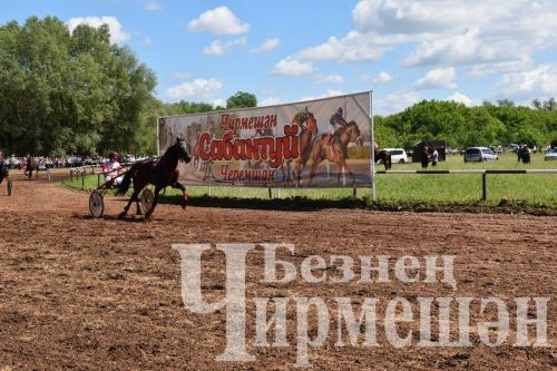 Сабантуй в Черемшане 2024: конные скачки и борьба на лошадях "Аударыш" (ФОТОРЕПОРТАЖ)