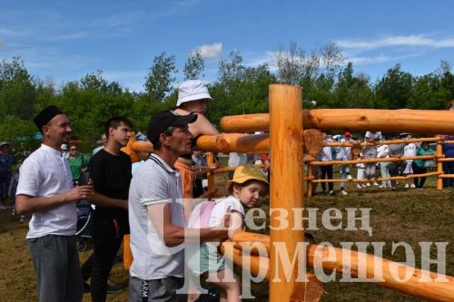 Чирмешән Сабан туе 2024: атлар узышы һәм Аударыш ярышы (ФОТОРЕПОРТАЖ)