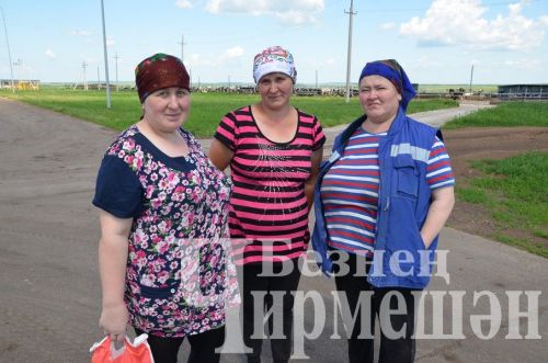 В Верхнекаменском обществе "Ильхан" приступили к заготовке сенажа (ФОТОРЕПОРТАЖ)
