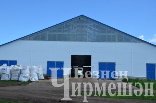 В Верхнекаменском обществе "Ильхан" приступили к заготовке сенажа (ФОТОРЕПОРТАЖ)