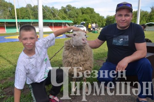 Чирмешәндә Сабан туе-2024: милли көрәш (ФОТОРЕПОРТАЖ)