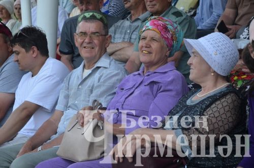 Чирмешәндә Сабан туе-2024: милли көрәш (ФОТОРЕПОРТАЖ)